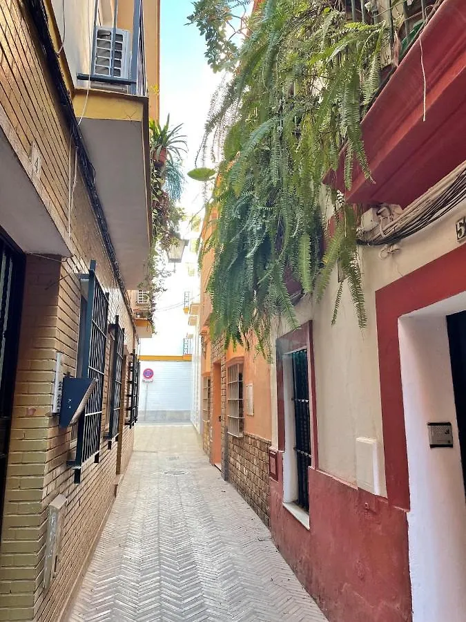 Appartamento Barrio De Santa Cruz, La Juderia. Zona Inmejorable Siviglia