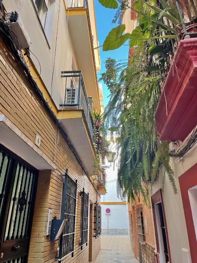 Appartamento Barrio De Santa Cruz, La Juderia. Zona Inmejorable Siviglia